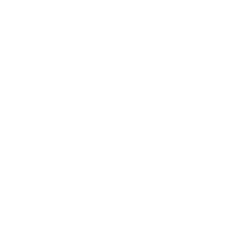 King Icon