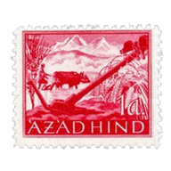 Coin Image 1