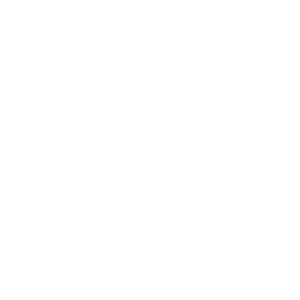 King Icon