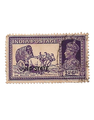 Coin Image 1